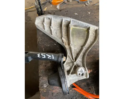 FREIGHTLINER CASCADIA Hood