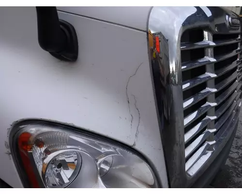 FREIGHTLINER CASCADIA Hood