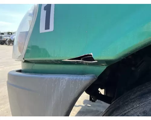 FREIGHTLINER CASCADIA Hood