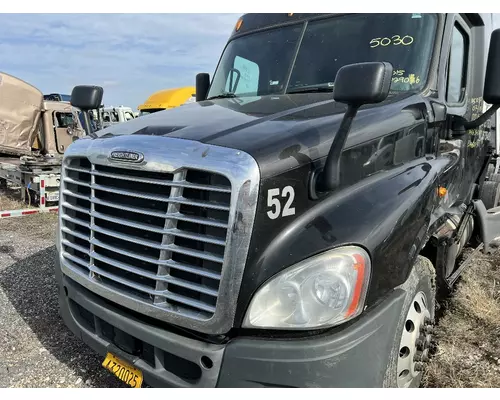 FREIGHTLINER CASCADIA Hood