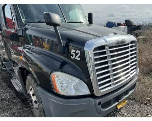 FREIGHTLINER CASCADIA Hood