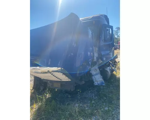 FREIGHTLINER CASCADIA Hood