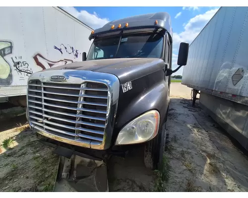 FREIGHTLINER CASCADIA Hood