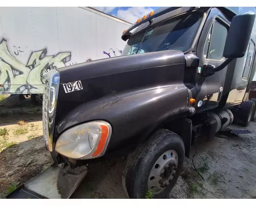 FREIGHTLINER CASCADIA Hood