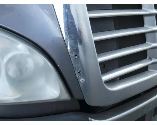 FREIGHTLINER CASCADIA Hood