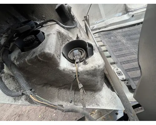 FREIGHTLINER CASCADIA Hood