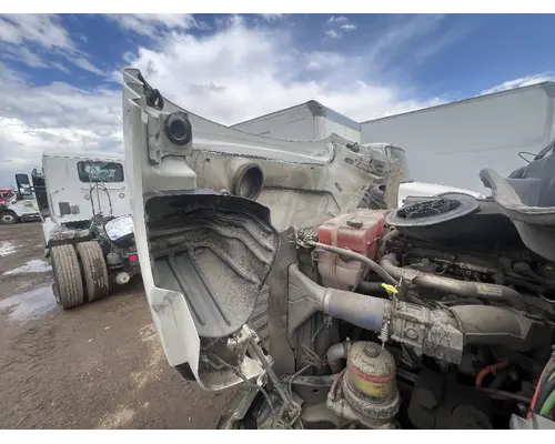 FREIGHTLINER CASCADIA Hood
