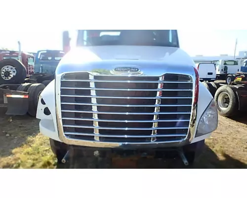 FREIGHTLINER CASCADIA Hood