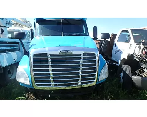 FREIGHTLINER CASCADIA Hood