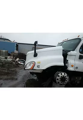 FREIGHTLINER CASCADIA Hood