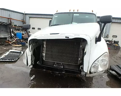 FREIGHTLINER CASCADIA Hood