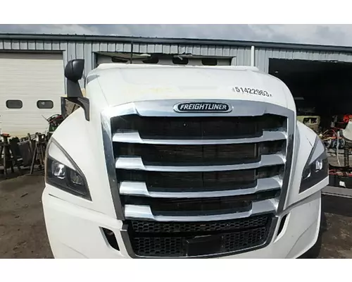 FREIGHTLINER CASCADIA Hood