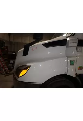 FREIGHTLINER CASCADIA Hood