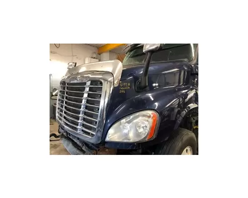 FREIGHTLINER CASCADIA Hood
