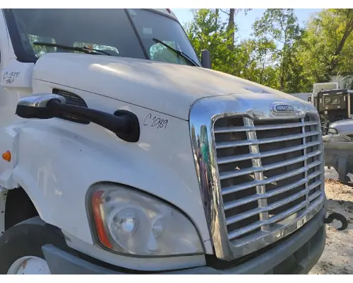 FREIGHTLINER CASCADIA Hood