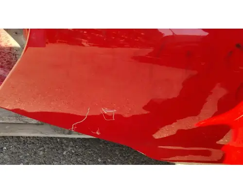 FREIGHTLINER CASCADIA Hood