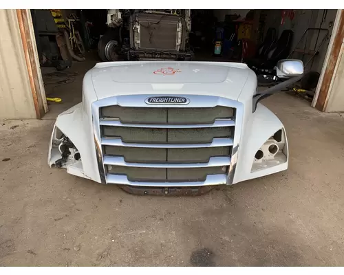 FREIGHTLINER CASCADIA Hood