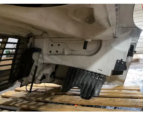 FREIGHTLINER CASCADIA Hood