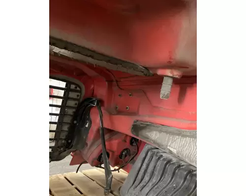 FREIGHTLINER CASCADIA Hood