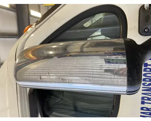 FREIGHTLINER CASCADIA Mirror (Side View)