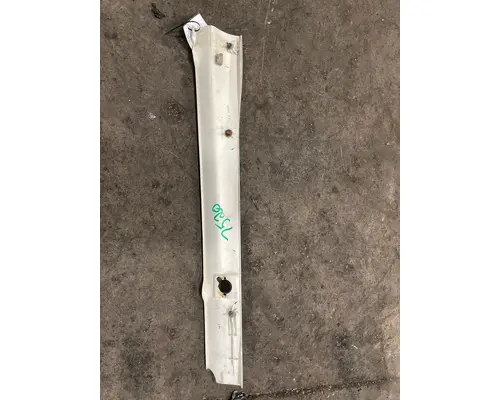 FREIGHTLINER CASCADIA Rocker Panel Moulding