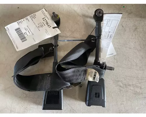 FREIGHTLINER CASCADIA Seat Belt