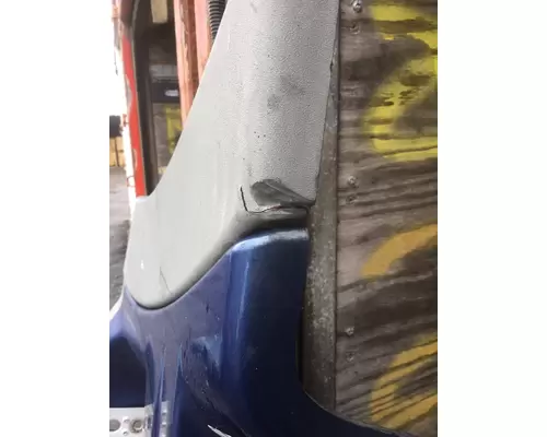 FREIGHTLINER CASCADIA Skirt