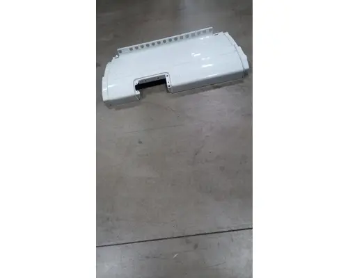 FREIGHTLINER CASCADIA Skirt