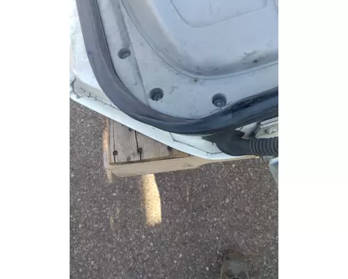 FREIGHTLINER CENTURY 120 1996-2010 DOOR ASSEMBLY, FRONT
