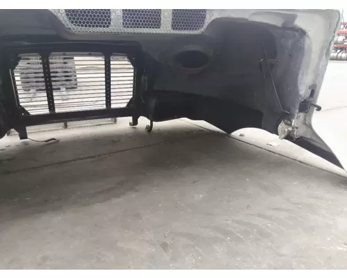 FREIGHTLINER CENTURY 120 1997-2002 HOOD