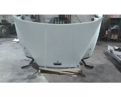 FREIGHTLINER CENTURY 120 1997-2002 HOOD