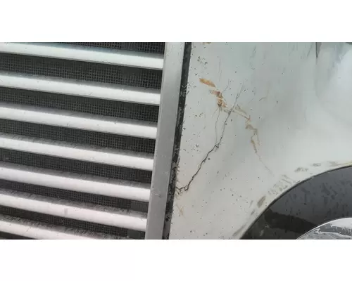 FREIGHTLINER CENTURY 120 1997-2002 HOOD