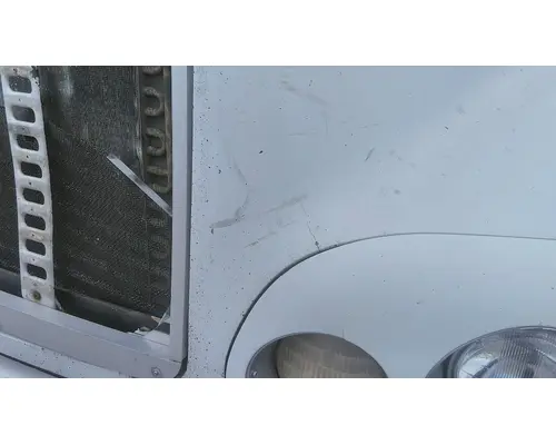 FREIGHTLINER CENTURY 120 1997-2002 HOOD