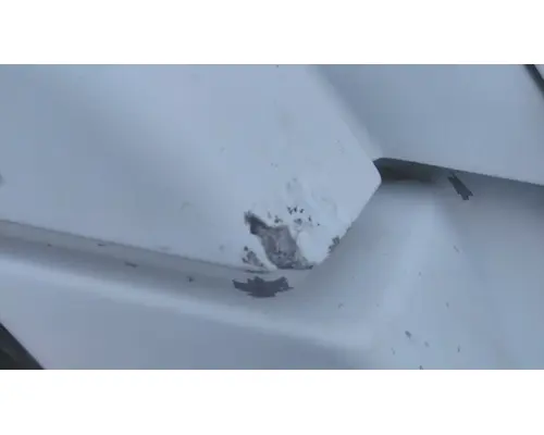 FREIGHTLINER CENTURY 120 1997-2002 HOOD