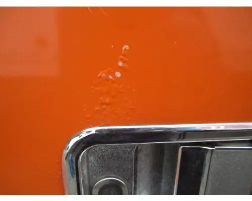 FREIGHTLINER CENTURY 120 DOOR ASSEMBLY, FRONT