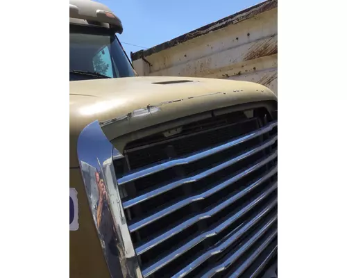 FREIGHTLINER CENTURY 120 HOOD