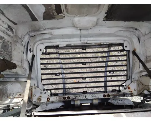 FREIGHTLINER CENTURY 120 HOOD