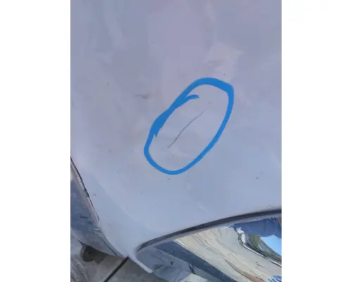 FREIGHTLINER CENTURY 120 HOOD