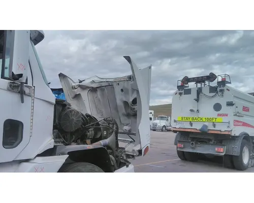 FREIGHTLINER CENTURY 120 HOOD