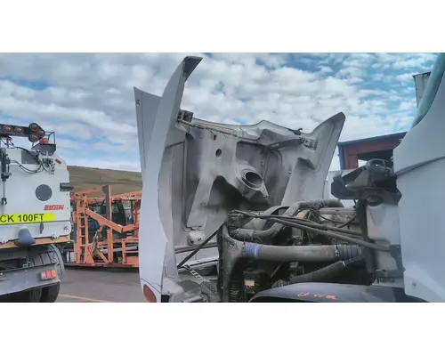 FREIGHTLINER CENTURY 120 HOOD