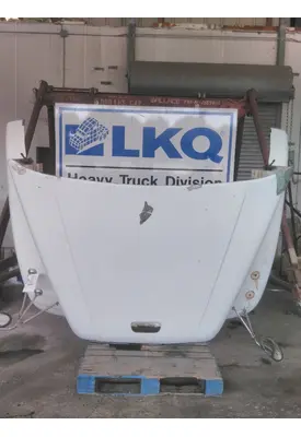 FREIGHTLINER CENTURY 120 HOOD