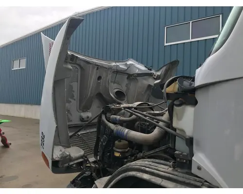 FREIGHTLINER CENTURY CLASS 112 Hood