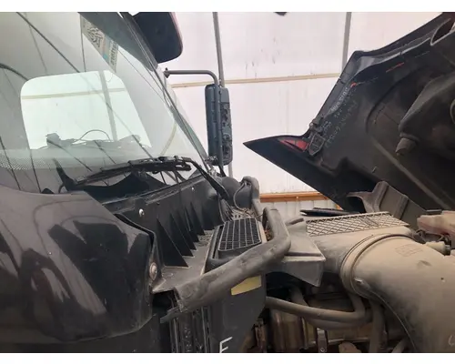 FREIGHTLINER CENTURY CLASS 120 Cab Assembly