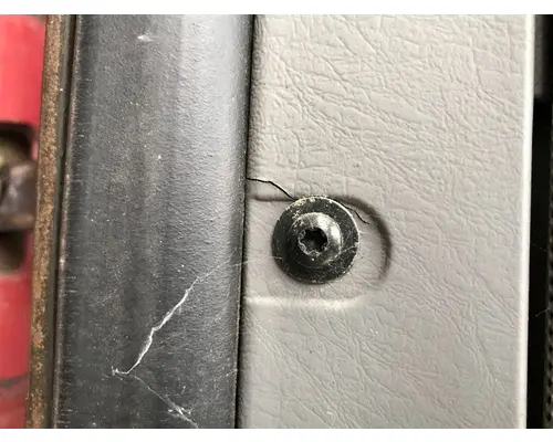 FREIGHTLINER CENTURY CLASS 120 Door Assembly, Front