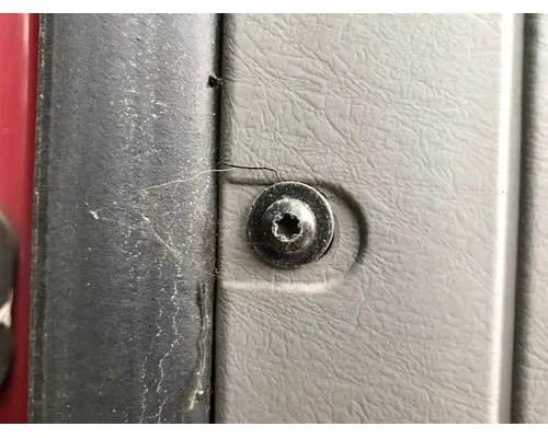 FREIGHTLINER CENTURY CLASS 120 Door Assembly, Front