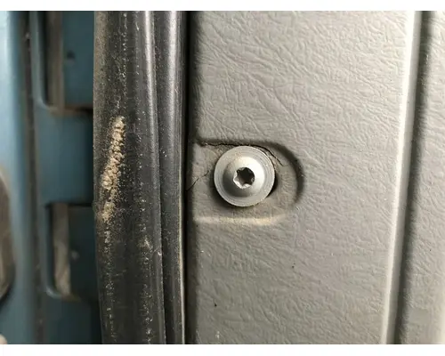 FREIGHTLINER CENTURY CLASS 120 Door Assembly, Front