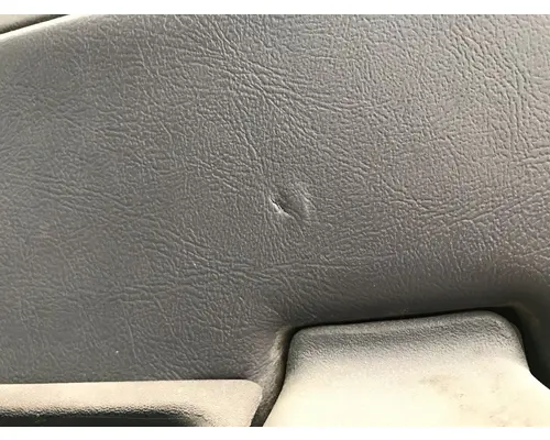 FREIGHTLINER CENTURY CLASS 120 Door Assembly, Front