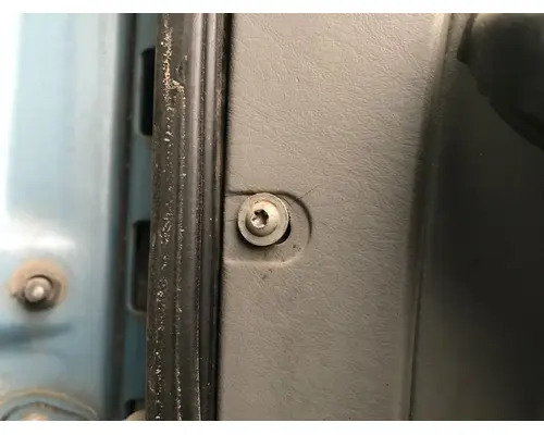 FREIGHTLINER CENTURY CLASS 120 Door Assembly, Front