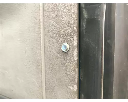 FREIGHTLINER CENTURY CLASS 120 Door Assembly, Front