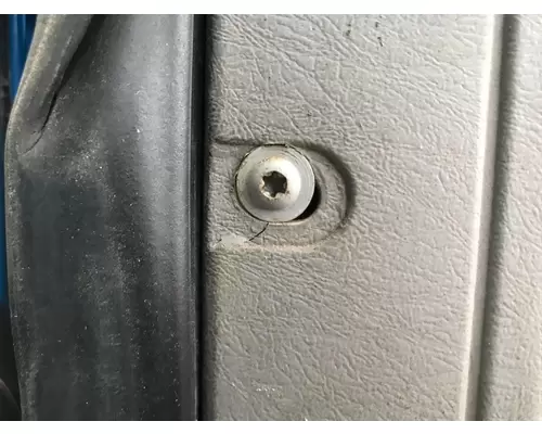 FREIGHTLINER CENTURY CLASS 120 Door Assembly, Front
